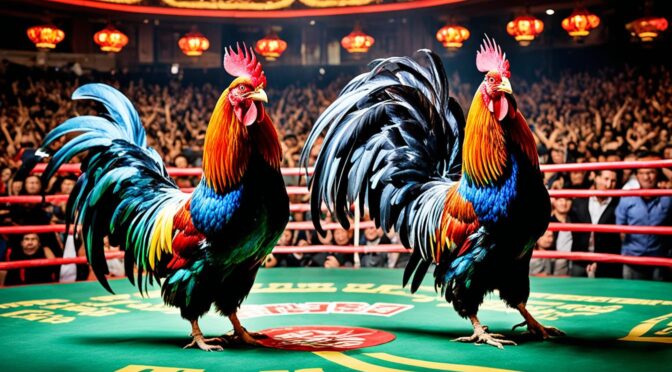 Bandar Sabung Ayam Macau Online Terpercaya