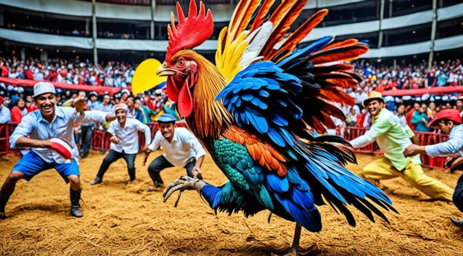 Pasaran Sabung Ayam Terbaik